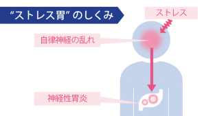 太田漢方胃腸薬Ⅱ