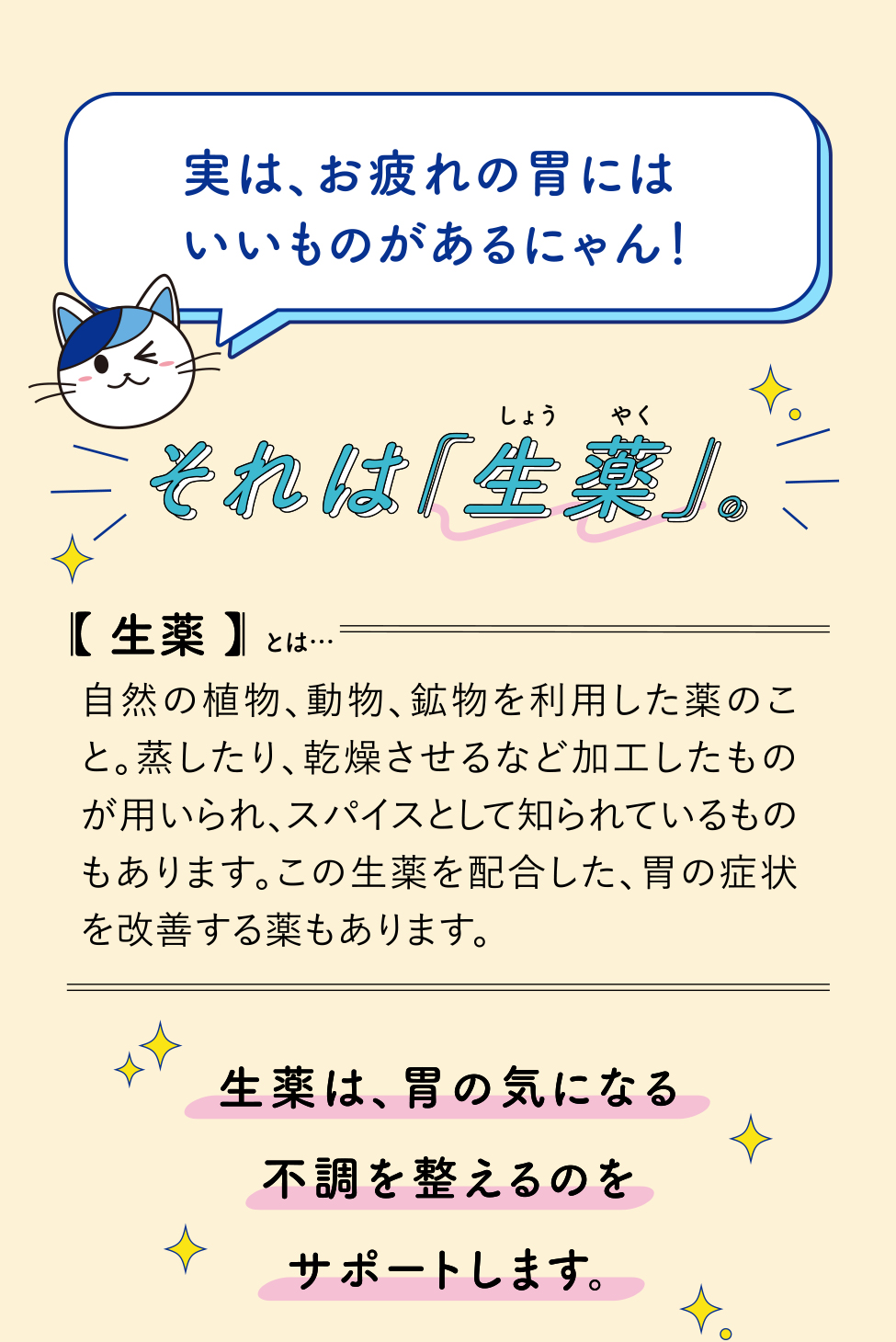 実は、お疲れの胃にはいいものがあるにゃん！それは「生薬」。「生薬」とは…自然の植物、動物、鉱物を利用した薬のこと。蒸したり、乾燥させるなど加工したものが用いられ、スパイスとして知られているものもあります。この生薬を配合した、胃の症状を改善する薬もあります。生薬は、胃の気になる
不調を整えるのをサポートします。
