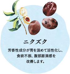 ニクズク 芳香性成分が胃を温めて活性化し、食欲不振、腹部膨満感を改善します。