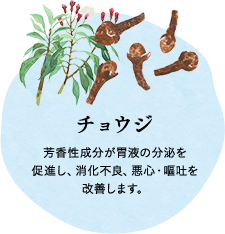 チョウジ 芳香性成分が胃液の分泌を促進し、消化不良、悪心・嘔吐を改善します。