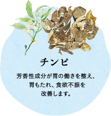 チンピ 芳香性成分が胃の働きを整え、胃もたれ、食欲不振を改善します。