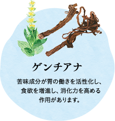 ゲンチアナ 苦味成分が胃の働きを活性化し、食欲を増進し、消化力を高める作用があります。