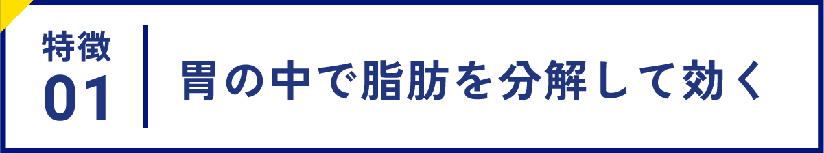 特徴01 胃の中で脂肪を分解して効く