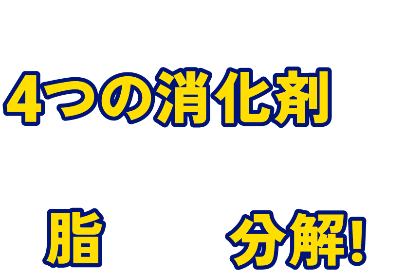 脂っこい食事の後の胃もたれに効く!4つの消化剤が胃の中の脂などを分解!