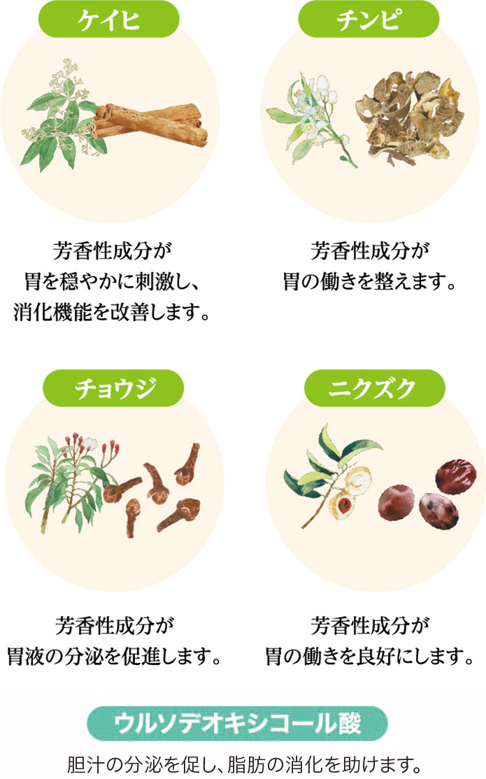 ケイヒ チンビ チョウジ ニクズク ウルソデオキシコール酸 胆汁の分泌を促し、脂肪の消化を助けます。