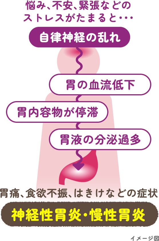 悩み、不安、緊張などのストレスがたまると・・・自律神経の乱れ〜胃の血流低下〜胃内容物が停滞〜胃液の分泌過多〜胃痛、食欲不振、はきけなどの症状〜〜神経性胃炎・慢性胃炎