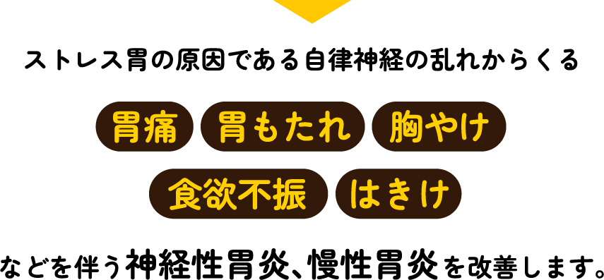 ストレス胃の原因である自律神経の乱れからくる胃痛・胃もたれ・胸やけ・食欲・不振・はきけなどを伴う神経性胃炎、慢性胃炎を改善します。