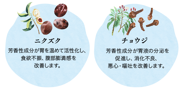 ニクズク 芳香性成分が胃を温めて活性化し、食欲不振、腹部膨満感を改善します。 チョウジ 芳香性成分が胃液の分泌を促進し、消化不良、悪心・嘔吐を改善します。