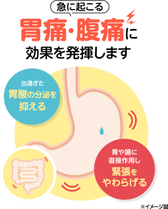 急に起こる胃痛・腹痛に効果を発揮します